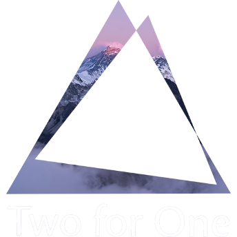 Two For One - Partenaire Odoo et ICT pour PME